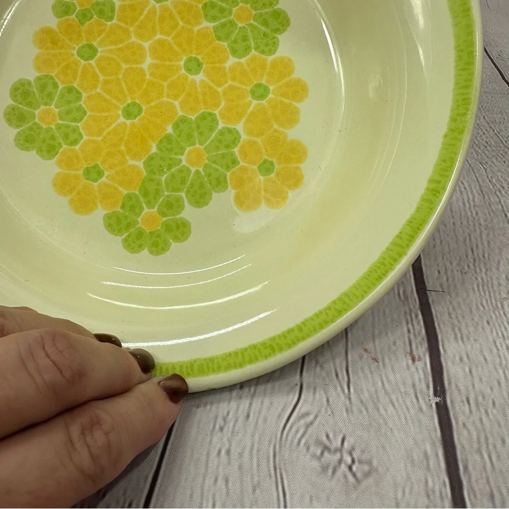 vtg 1970s picnic by Franciscan Earthenware 9